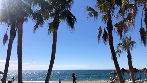A beach with palm trees, a wooden walkway, and people relaxing by the water. - Boutique Sea view studio 2A - La Cala de Mijas (La Cala de Mijas)