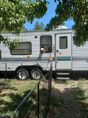 Property grounds - Cozy RV with AC and WiFi in peaceful Nine Mile Falls (Nine Mile Falls)
