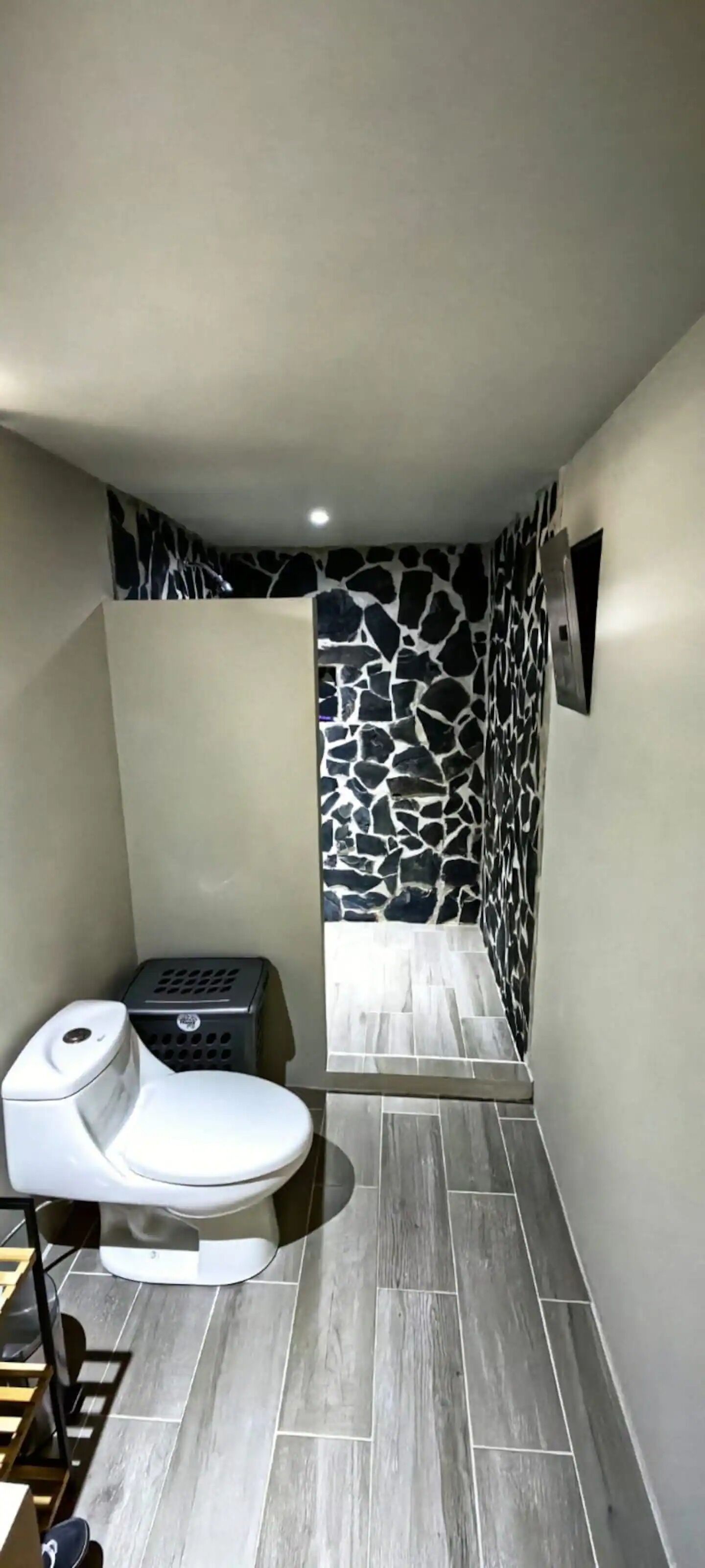 Ein Badezimmer mit Toilette, Mülleimer und Duschbereich mit Steinwand.