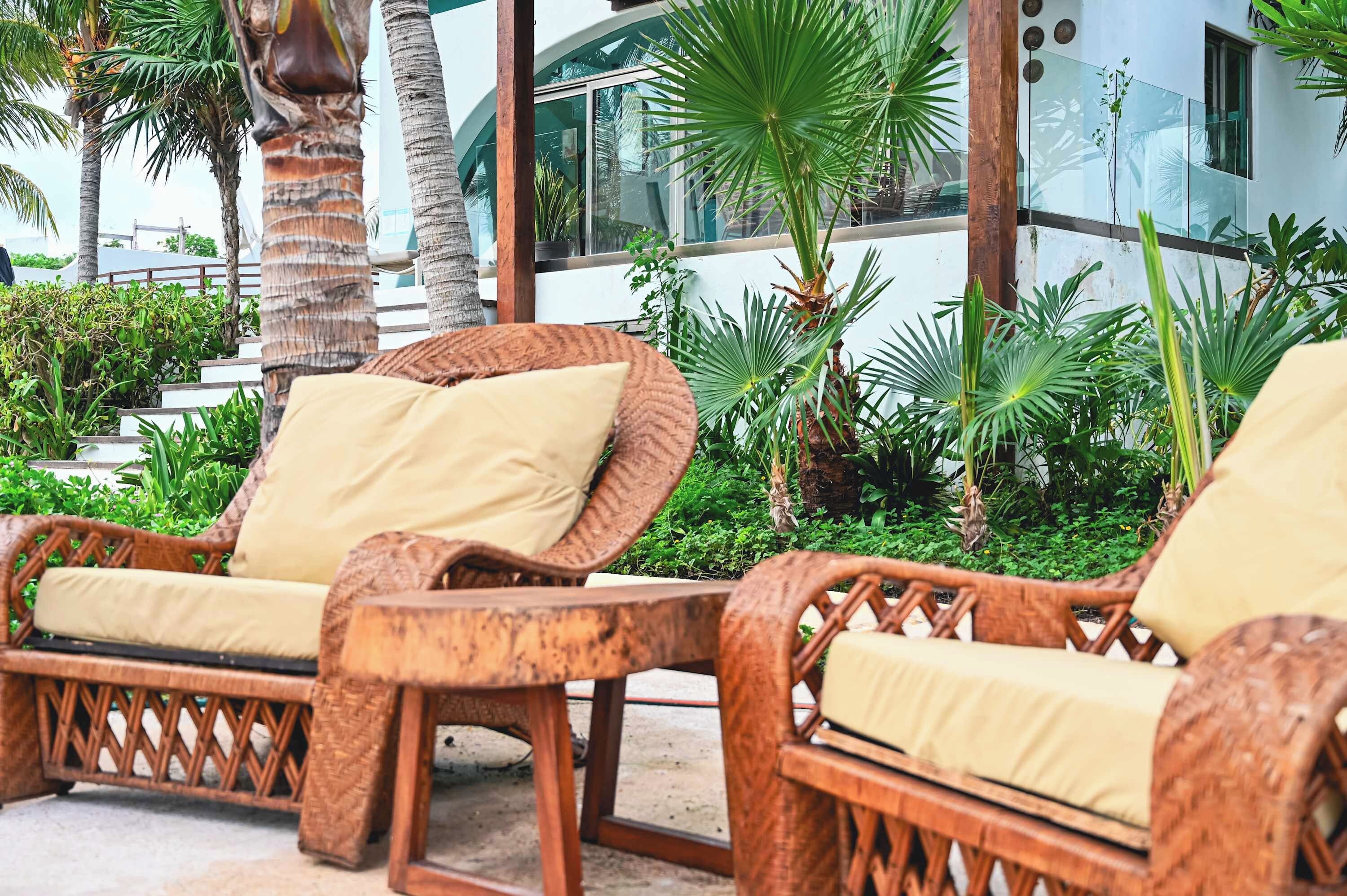 Des fauteuils de jardin en osier, dotés de coussins, dans un décor extérieur agrémenté de palmiers et avec un bâtiment moderne en arrière-plan.