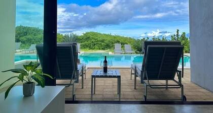 Spectacular ocean view, 2 bedrooms with pool
