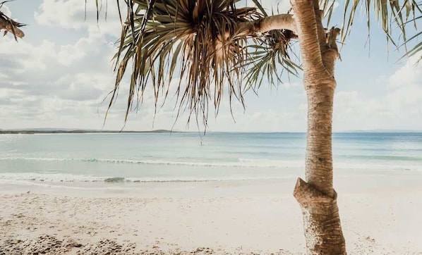 En strand med en palme, klar himmel og roligt hav.