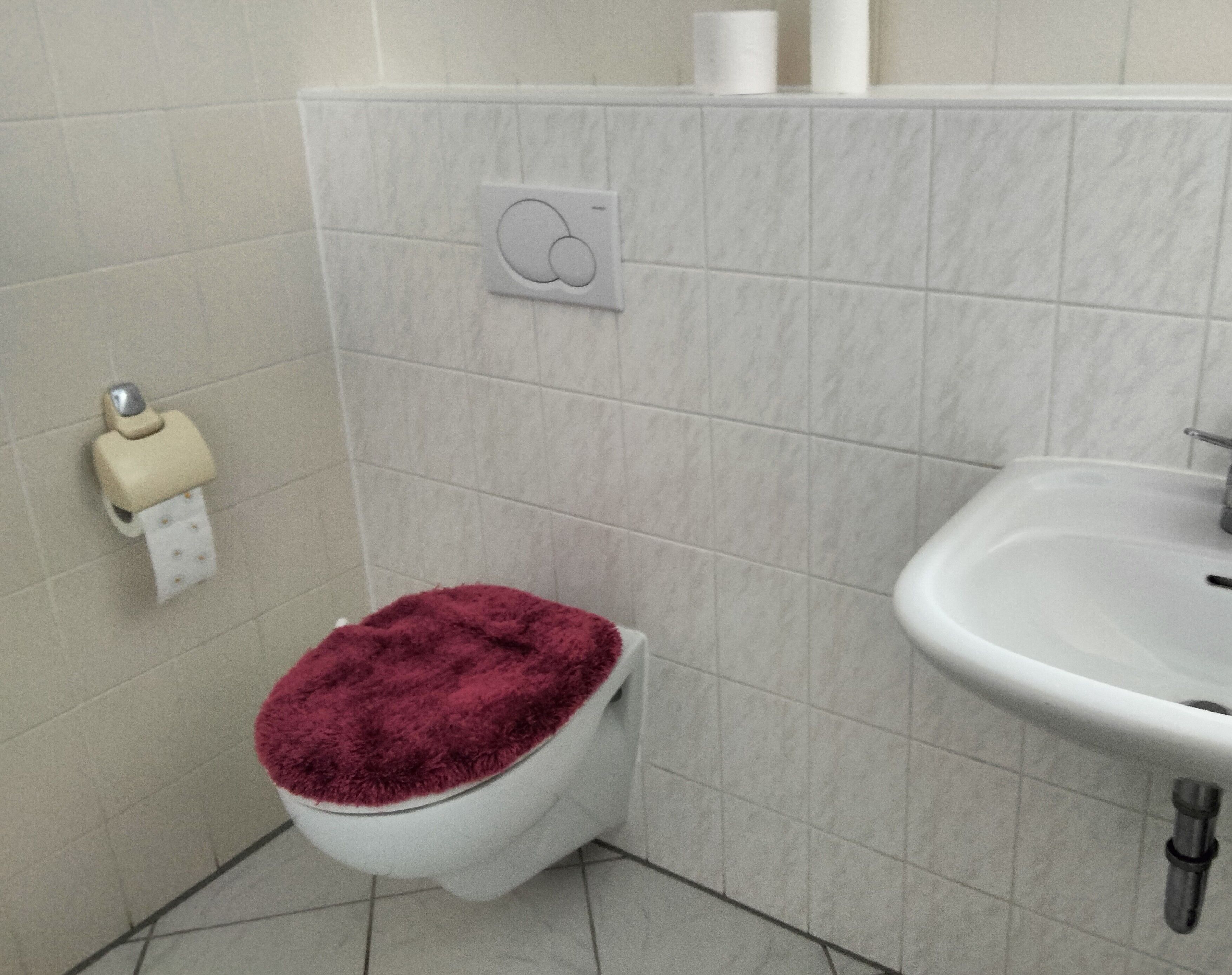 Une salle de bain équipée de toilettes, d’un lavabo et d’un distributeur d’essuie-tout.