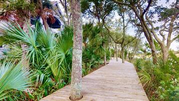 المنطقة المحيطة بالمنشأة