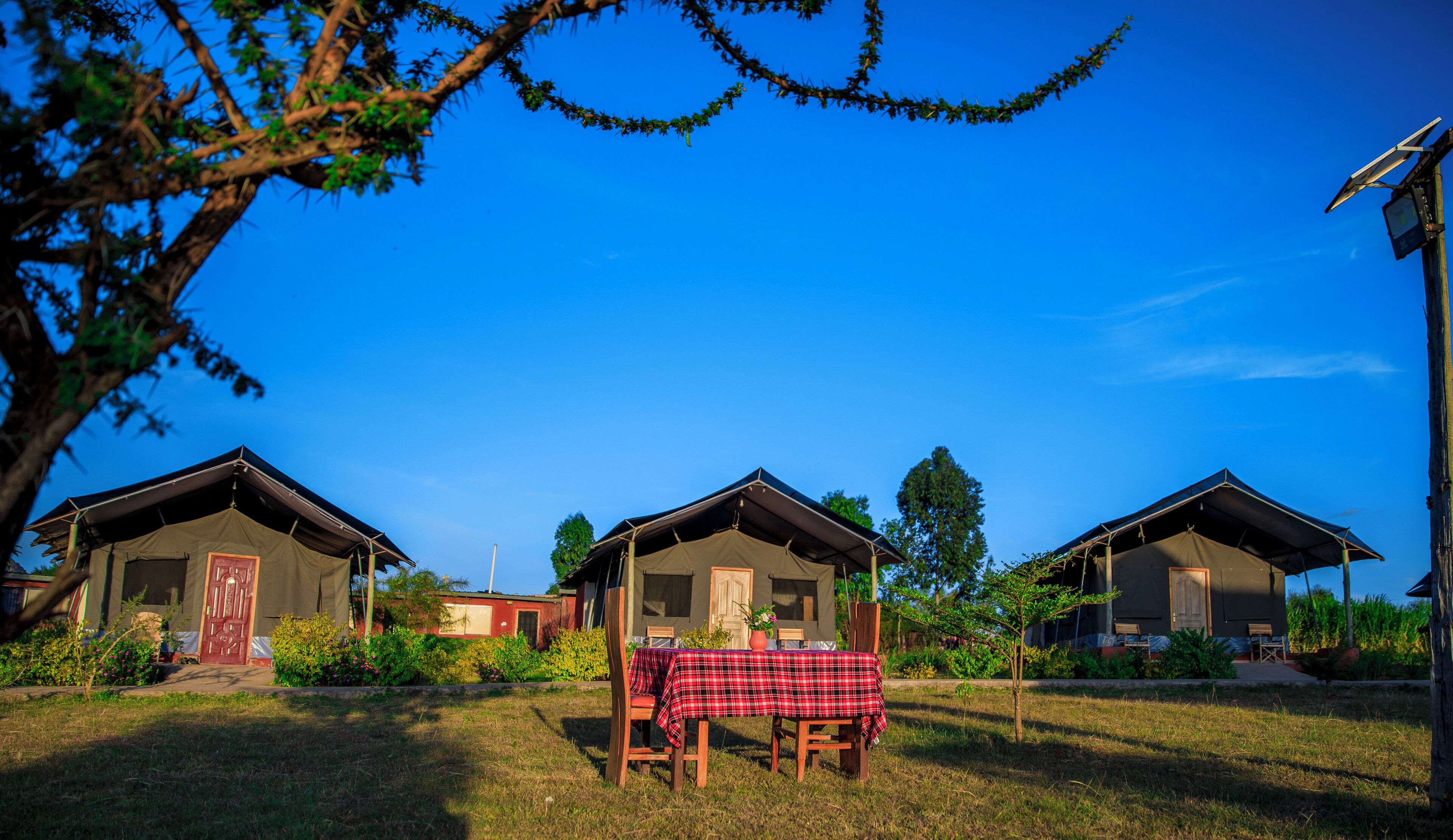 Three cabins with a dining table set in the middle, surrounded by greenery and trees.