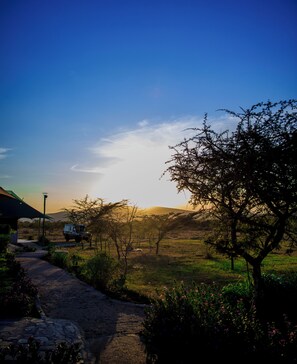 Escritorio, espacio para trabajar con laptop y wifi gratis 