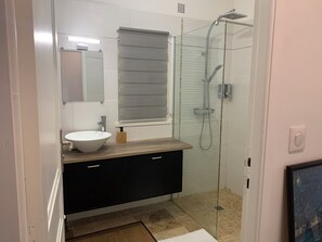 Chuveiro, secador de cabelo, toalhas de banho, sabonete