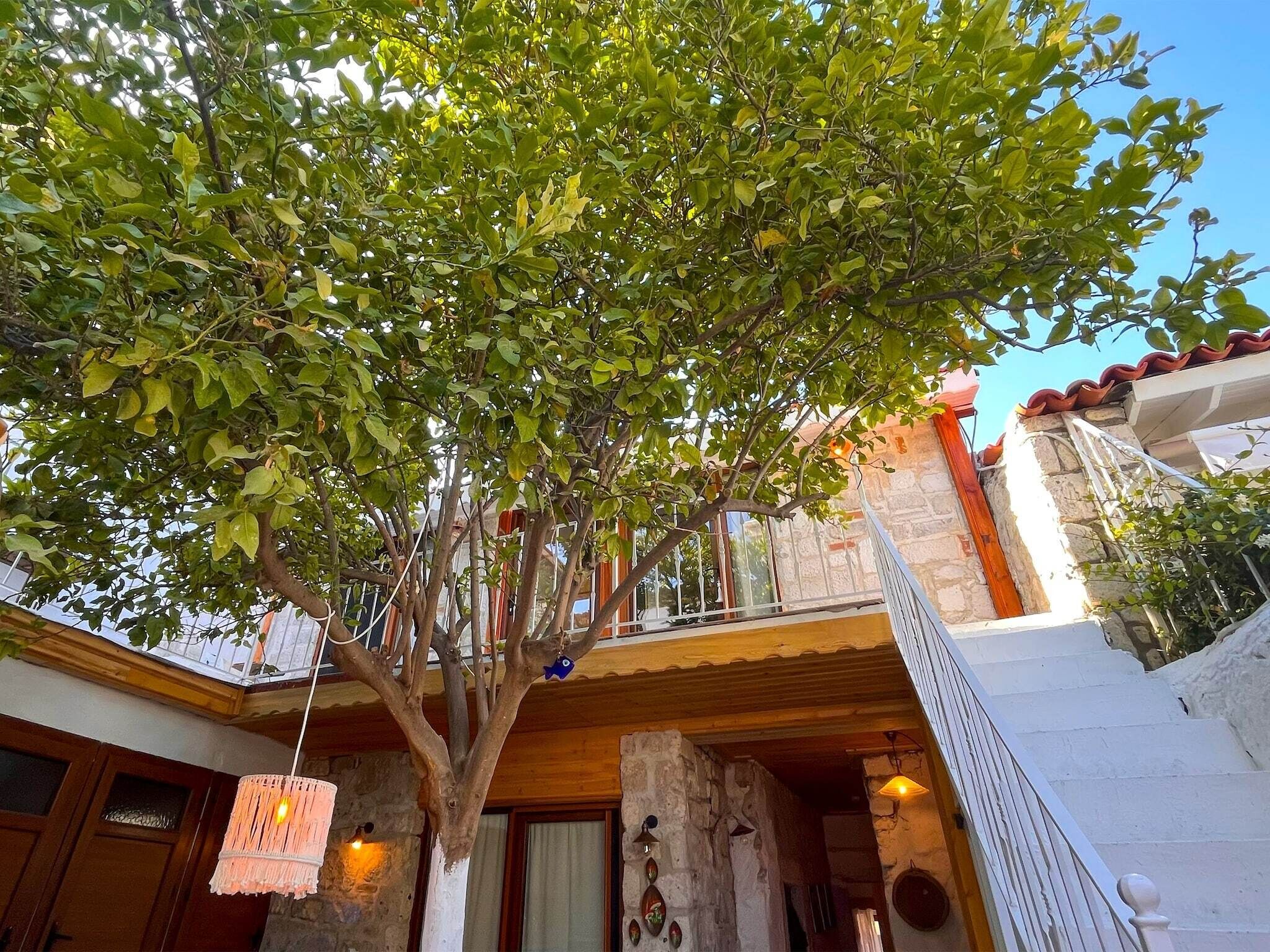 Utsikt fra overnattingsstedet