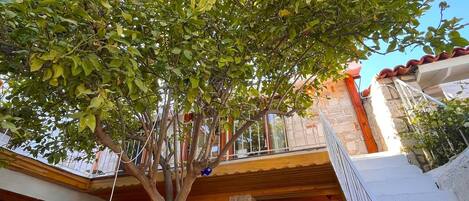 Vista desde la propiedad