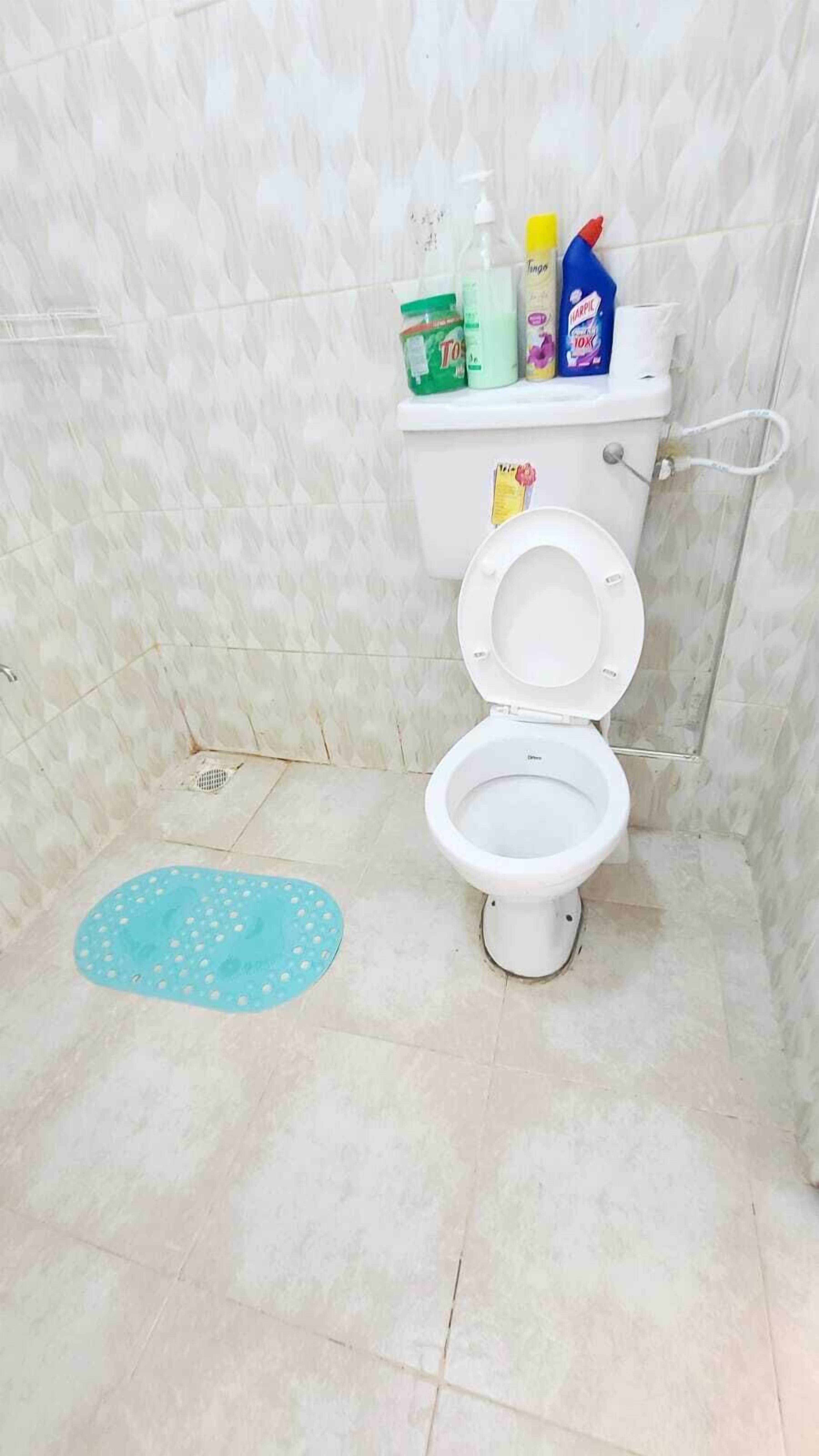 A small bathroom with a toilet, a blue mat, and toiletries on the wall.