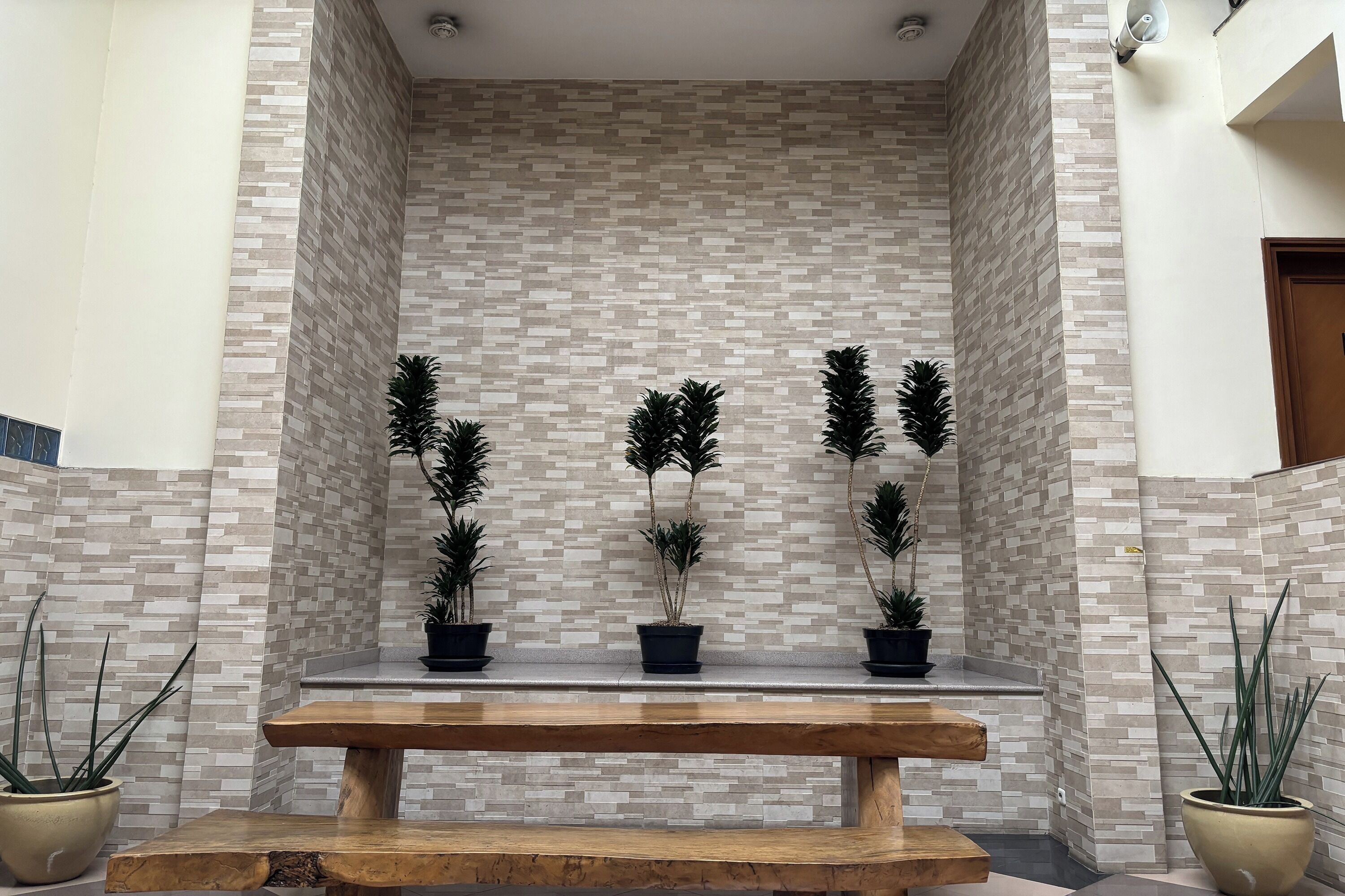 Un interior moderno con pared de azulejos, banca de madera y plantas en macetas.