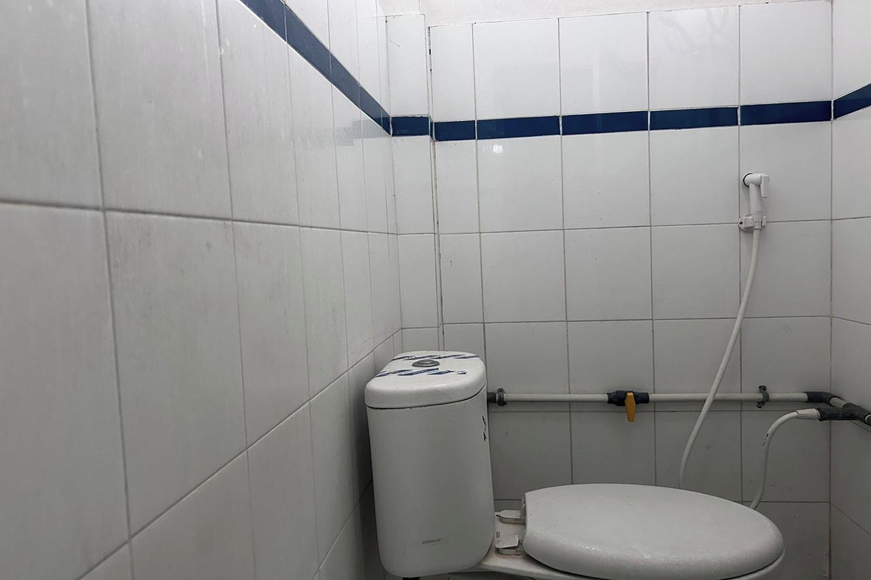 Une petite salle de bain carrelée, équipée de toilettes, d’un bidet et d’un flexible de douche.