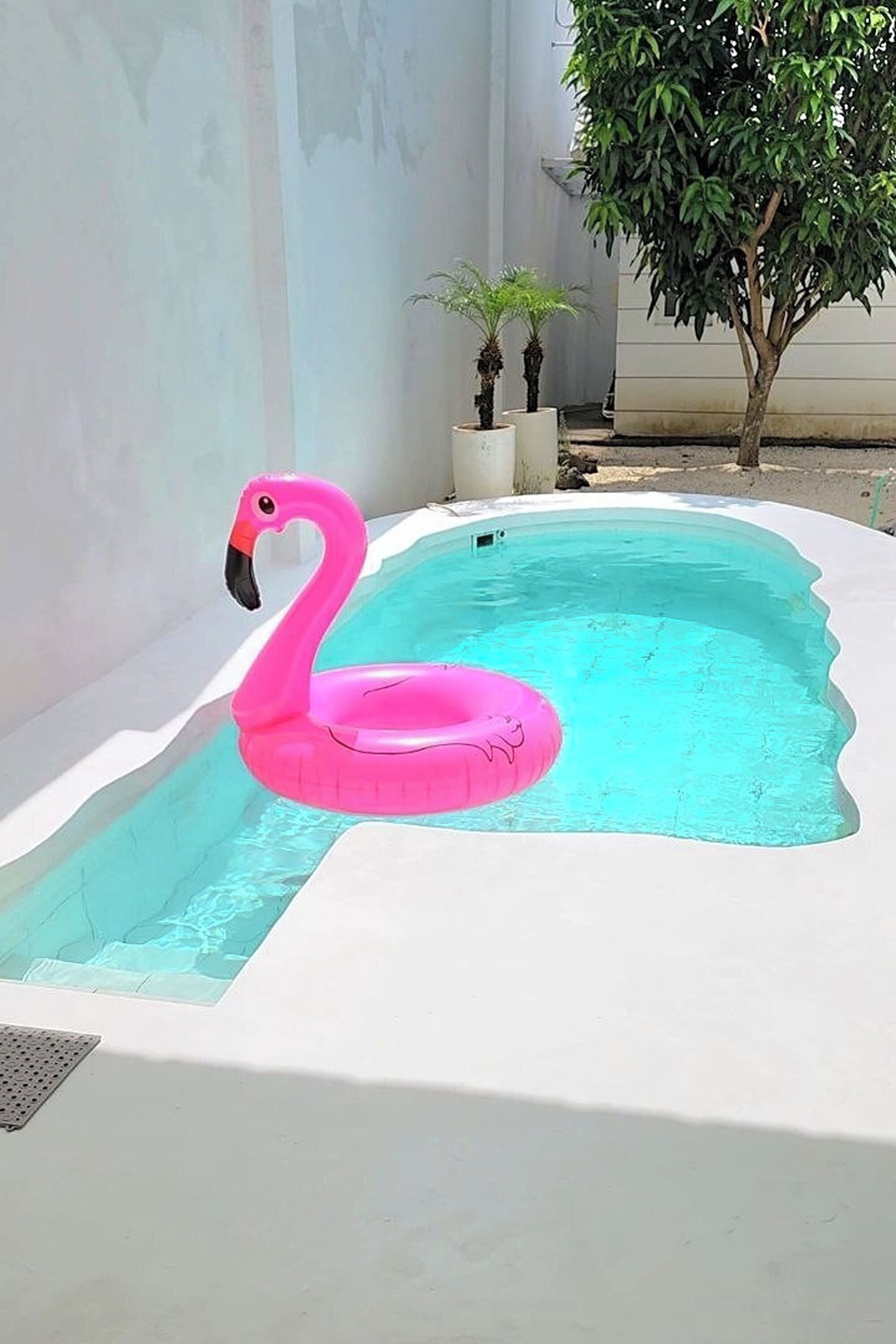 A small outdoor swimming pool with a pink flamingo float.