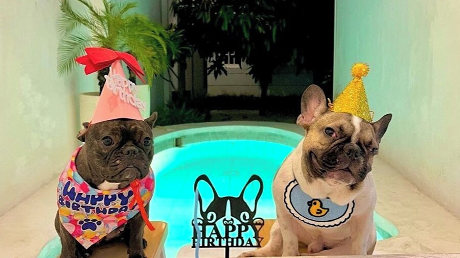 Floraison Living Villa Yogyakarta