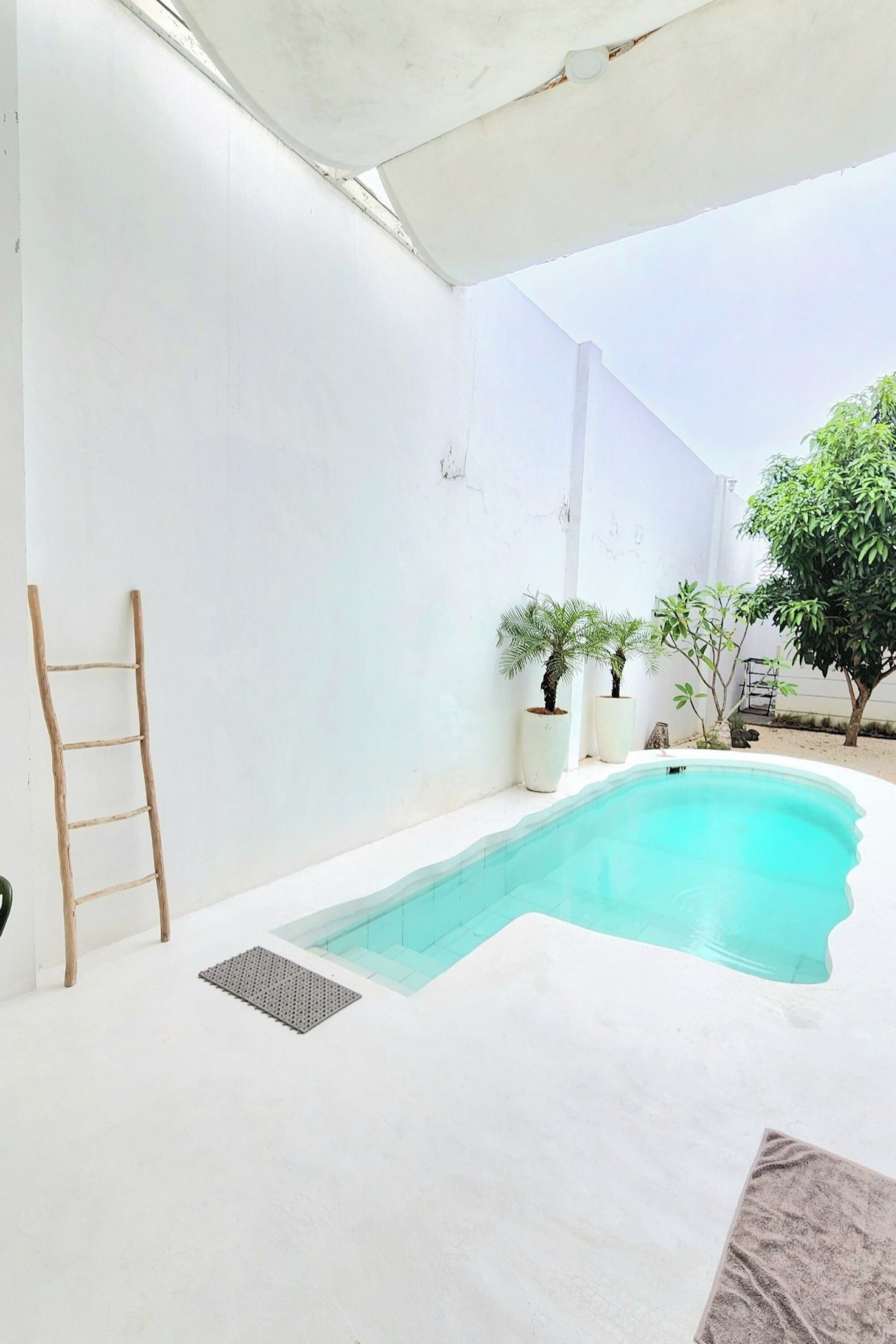 A swimming pool with a white interior, surrounded by white walls and potted plants.