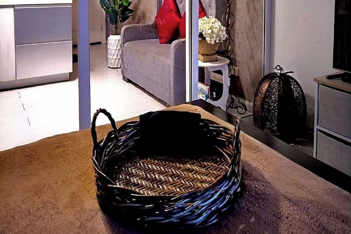 Apartamento | Terraza o patio