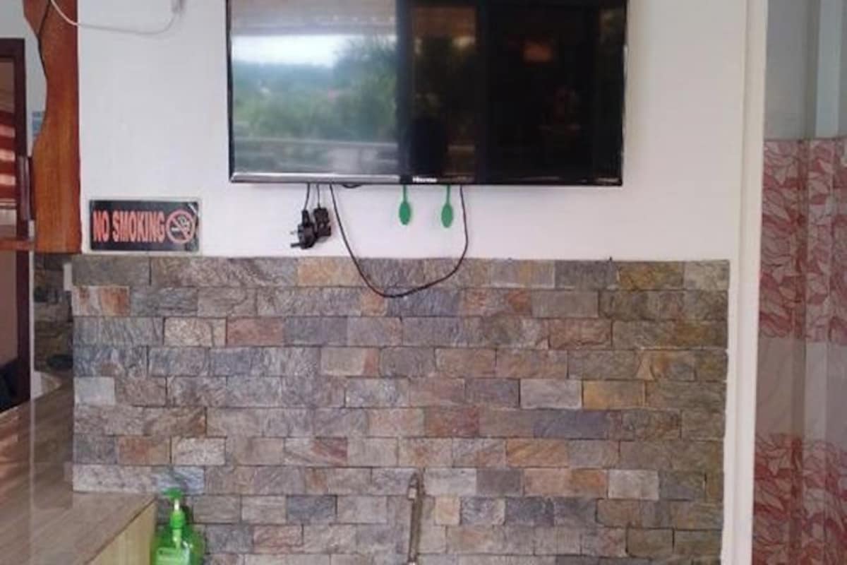 Television
