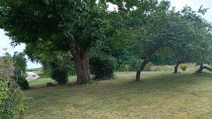 A grassy area with trees and a path leading to a building.
