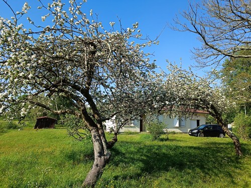 House 65m2. Large garden, vineyard view
