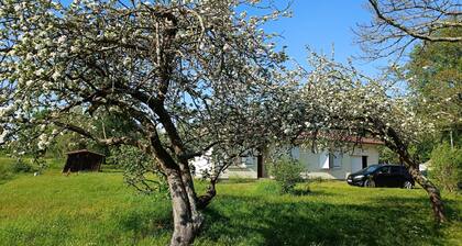 House 65m2. Large garden, vineyard view