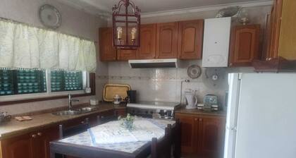 House with balconies in central but quiet Amarante