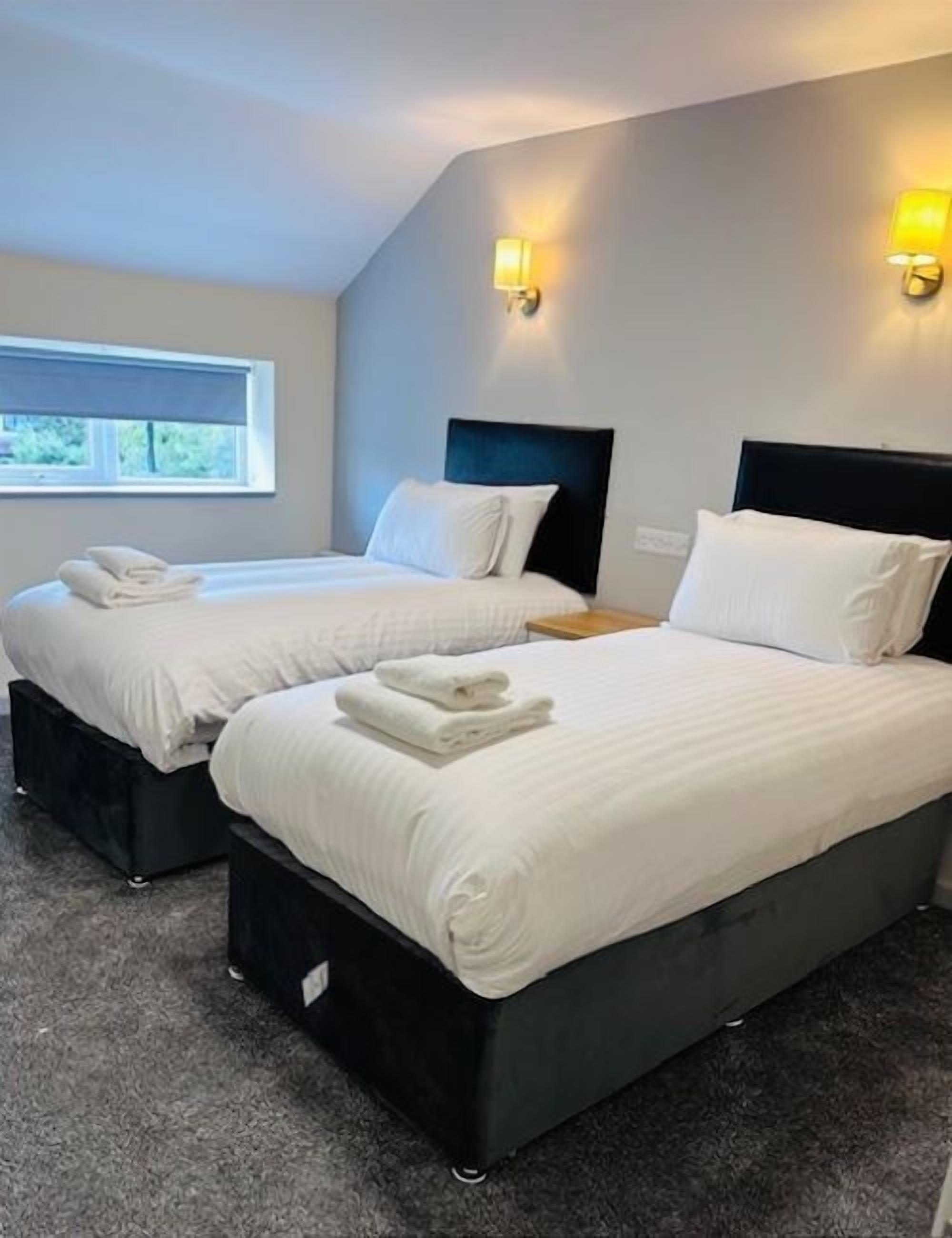 Basic Twin Room | Desk, free WiFi