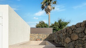 A modern outdoor area with a stone wall, a wooden deck, and a palm tree. - Jeju Staysosoheon Dokchae Pension (Jeju City)
