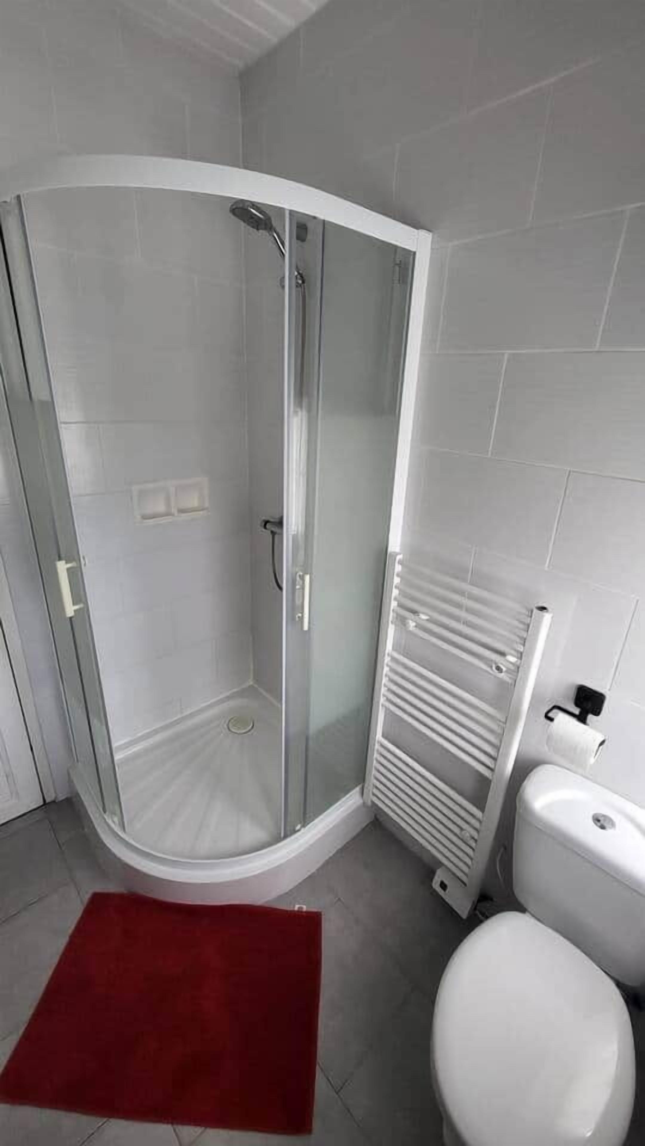 Een douchehoek met een glazen deur, een wit toilet en een rood vloerkleed.