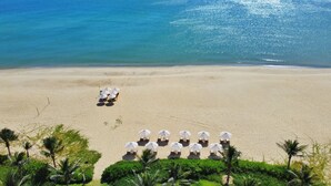 Une plage bordée de rangées de chaises longues et de parasols, de palmiers, et offrant une vue dégagée sur l’océan.