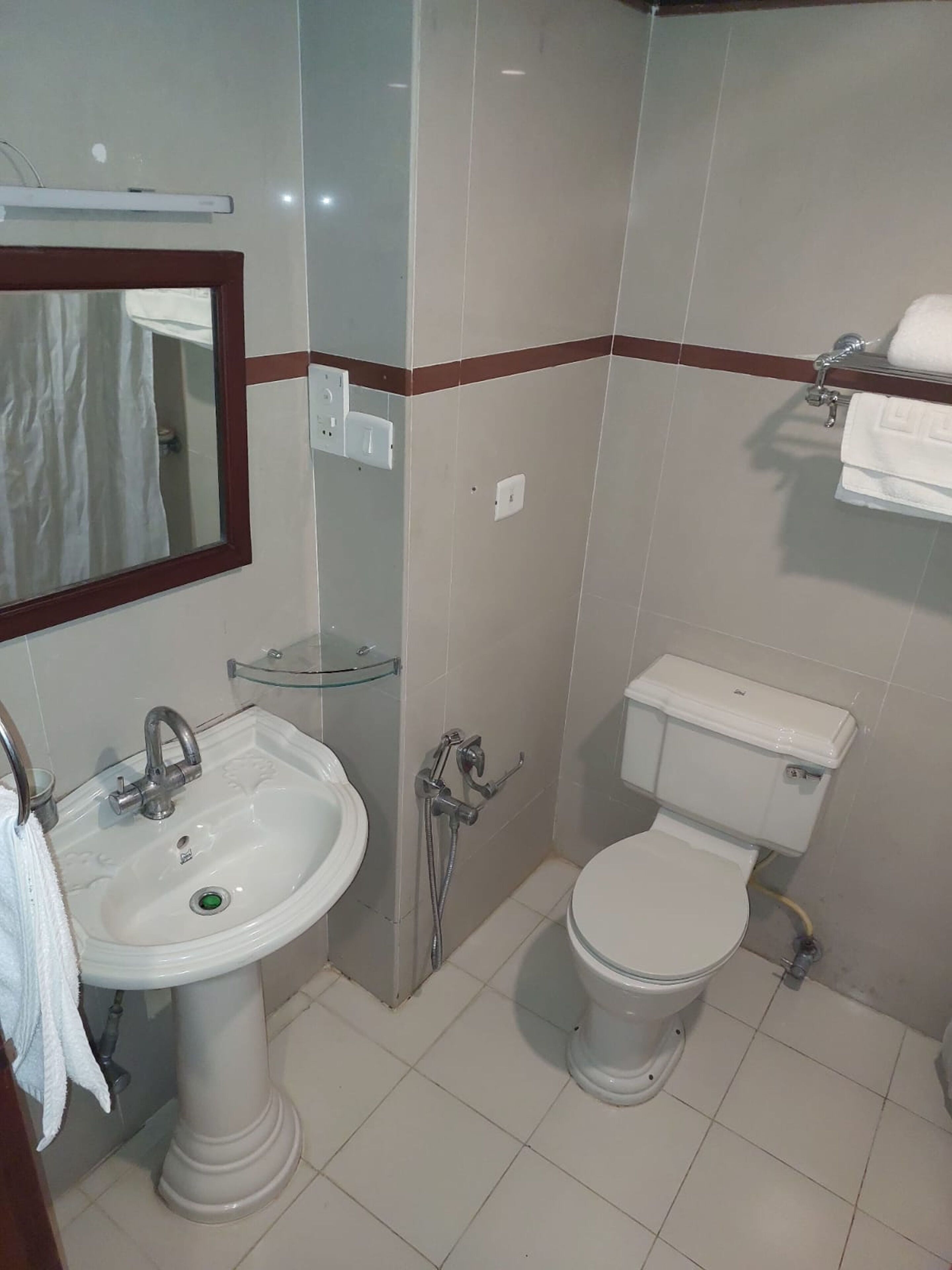 A bathroom with a pedestal sink, a toilet, and a mirror.