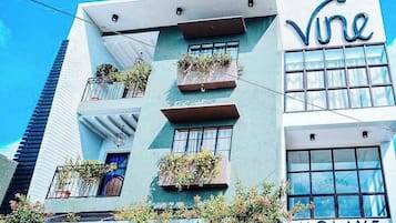 Vista desde la propiedad