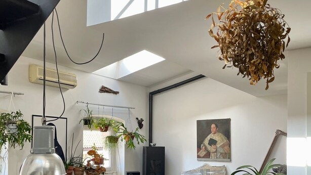 Uma sala de estar moderna com área de jantar, apresentando um sofá, mesa de centro e uma planta pendente.