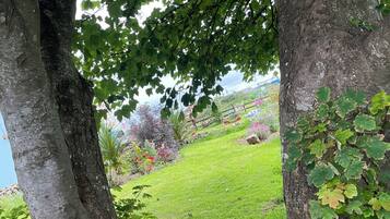 House | Property grounds