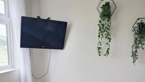 Una habitació amb un televisor de pantalla plana fixat a la paret, una banca blanca amb coixí rosa i dos penjolls amb plantes verdes.