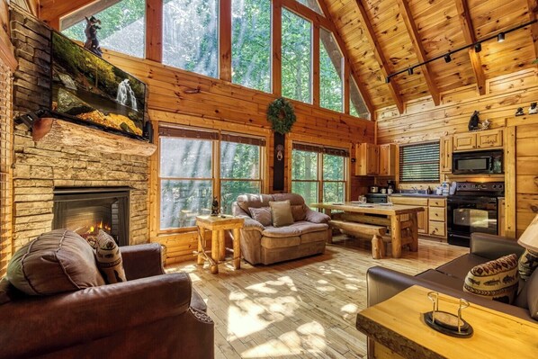 Télévision, cheminée, jeux vidéo