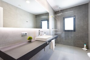 Shower, hair dryer, towels