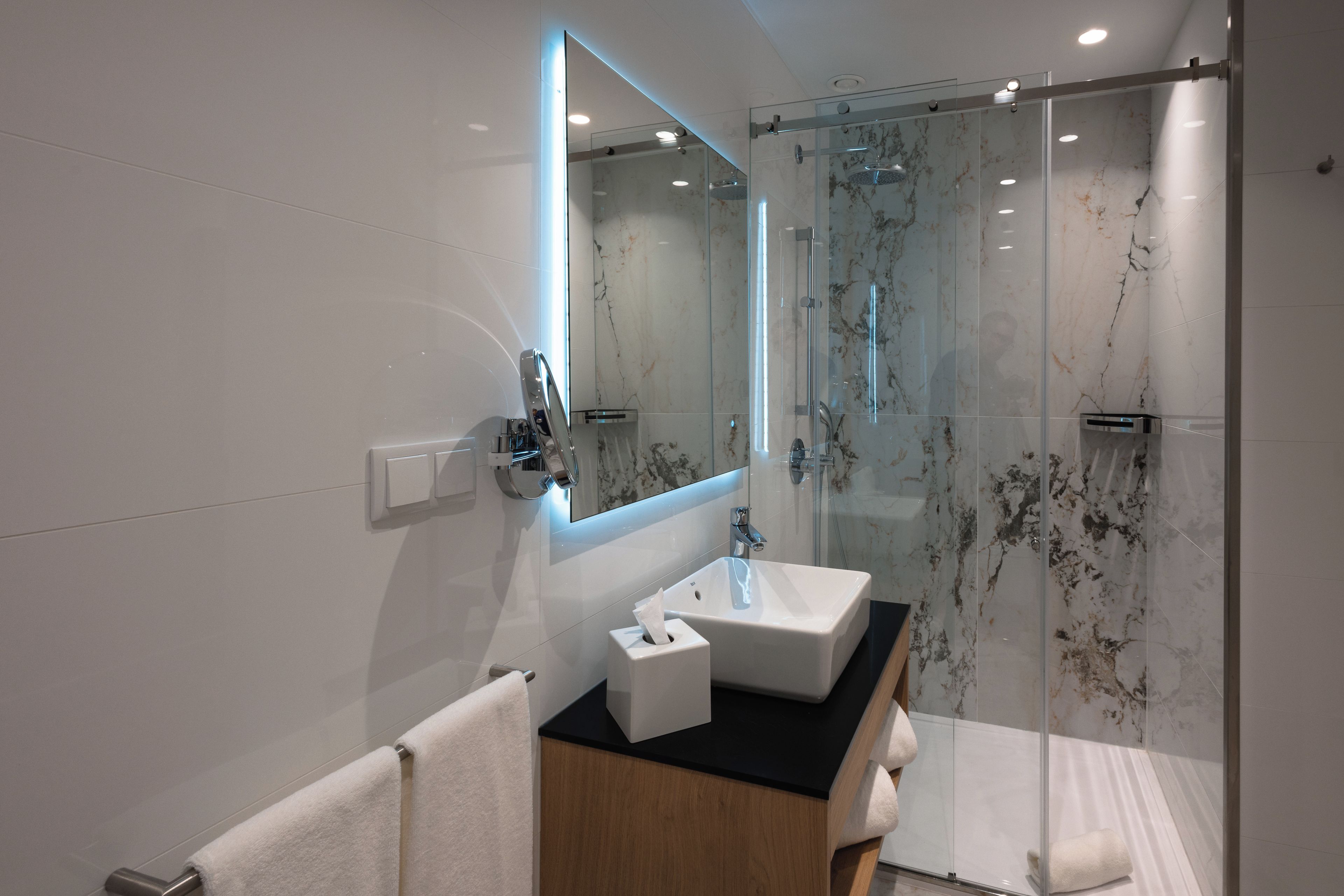 Une salle de bain moderne avec une douche à parois de verre, un lavabo blanc et un grand miroir.