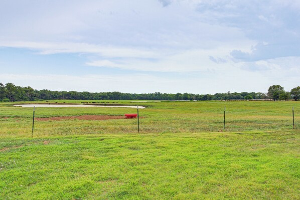 A large, open grassy field with a dirt track and a red object in the distance. - Erie Farmhouse w/ Fire Pit + Grill: Pets Welcome! (Erie)