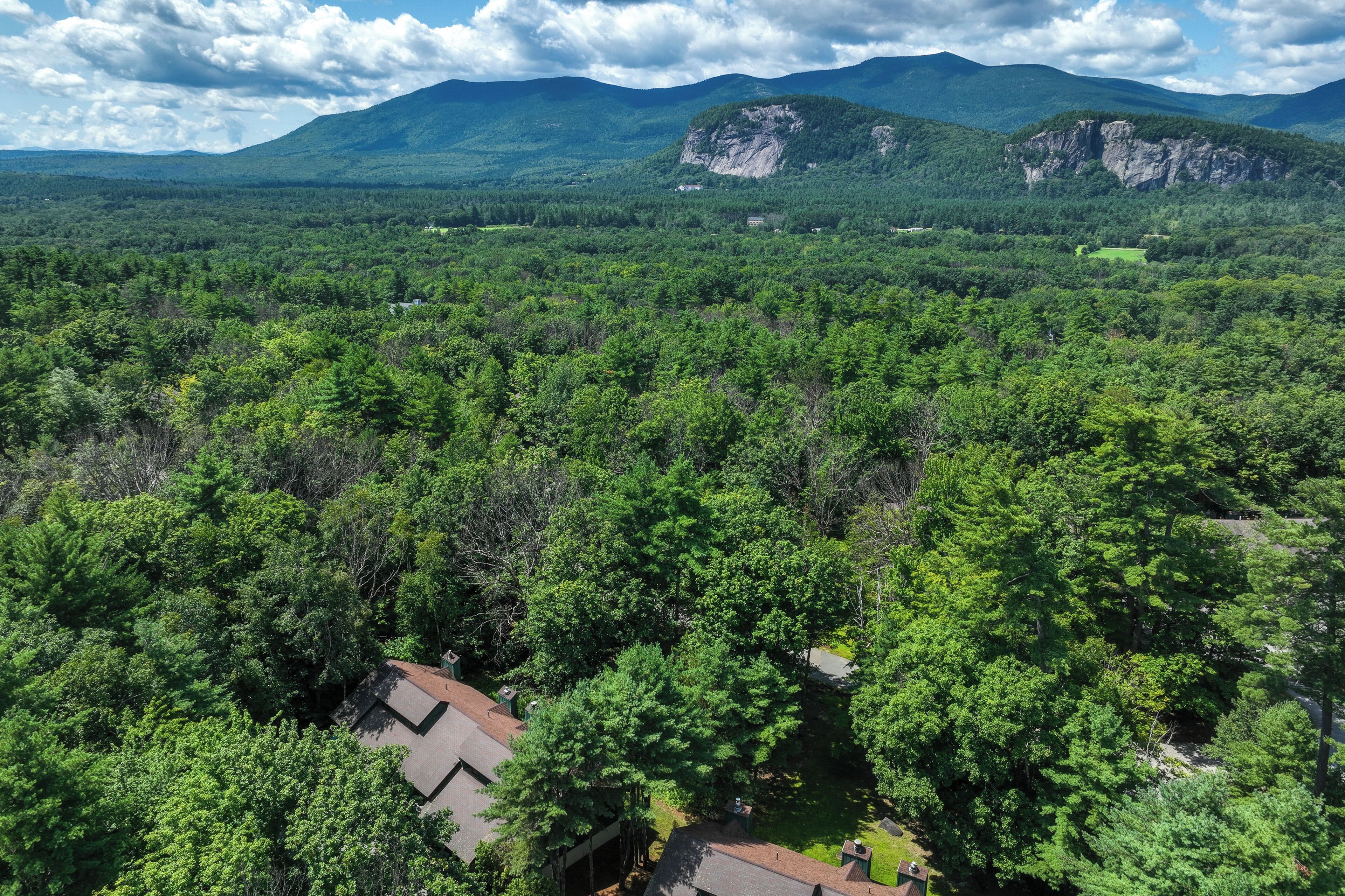 A residential area with houses surrounded by dense forest and mountains in the background.