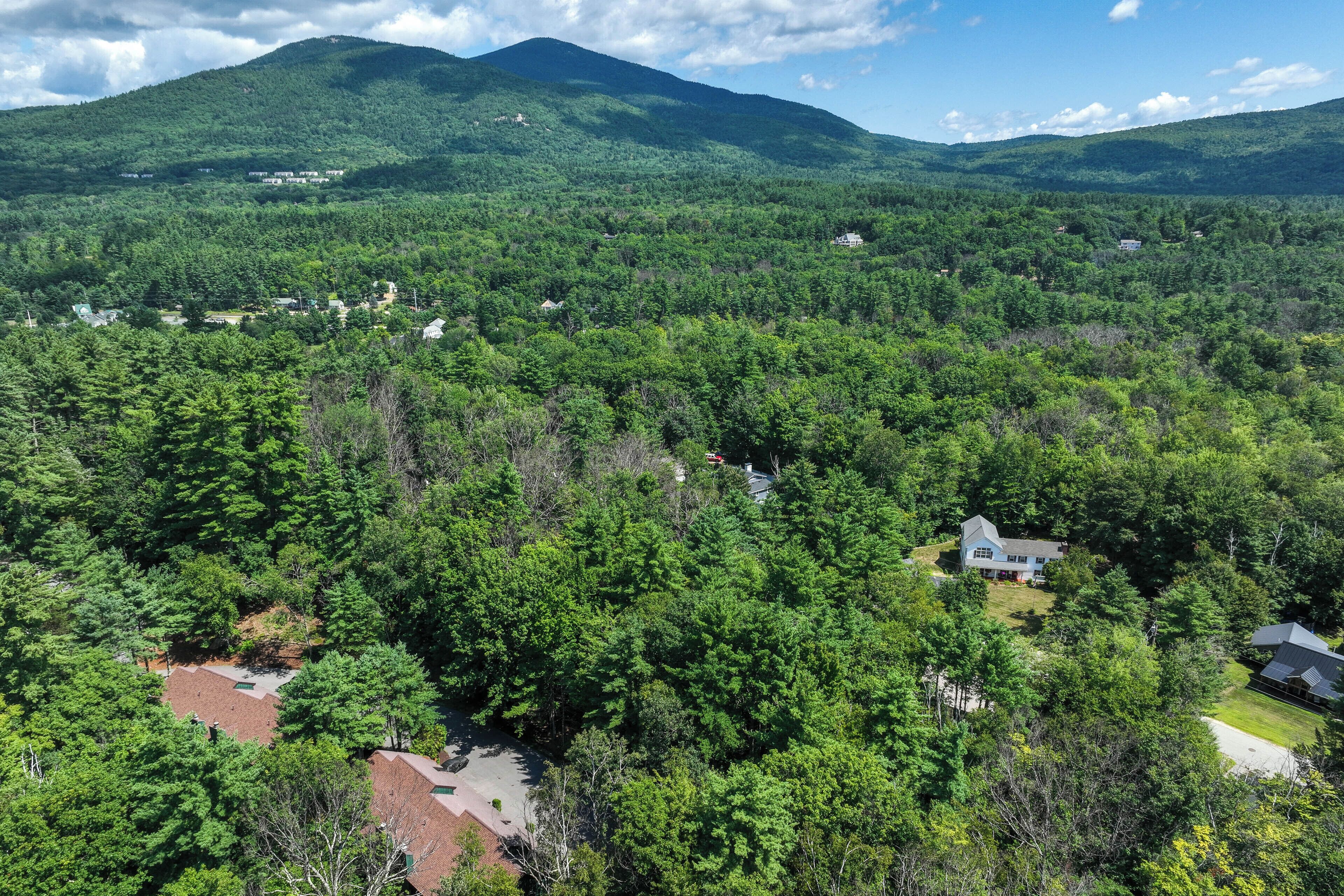Un paysage montagneux, avec une forêt dense et des maisons éparpillées.