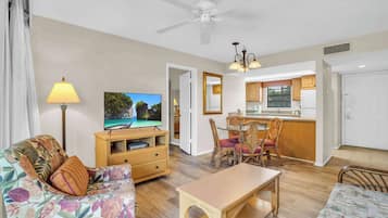 TV, DVD player, offices