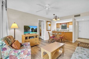 TV, DVD player, offices
