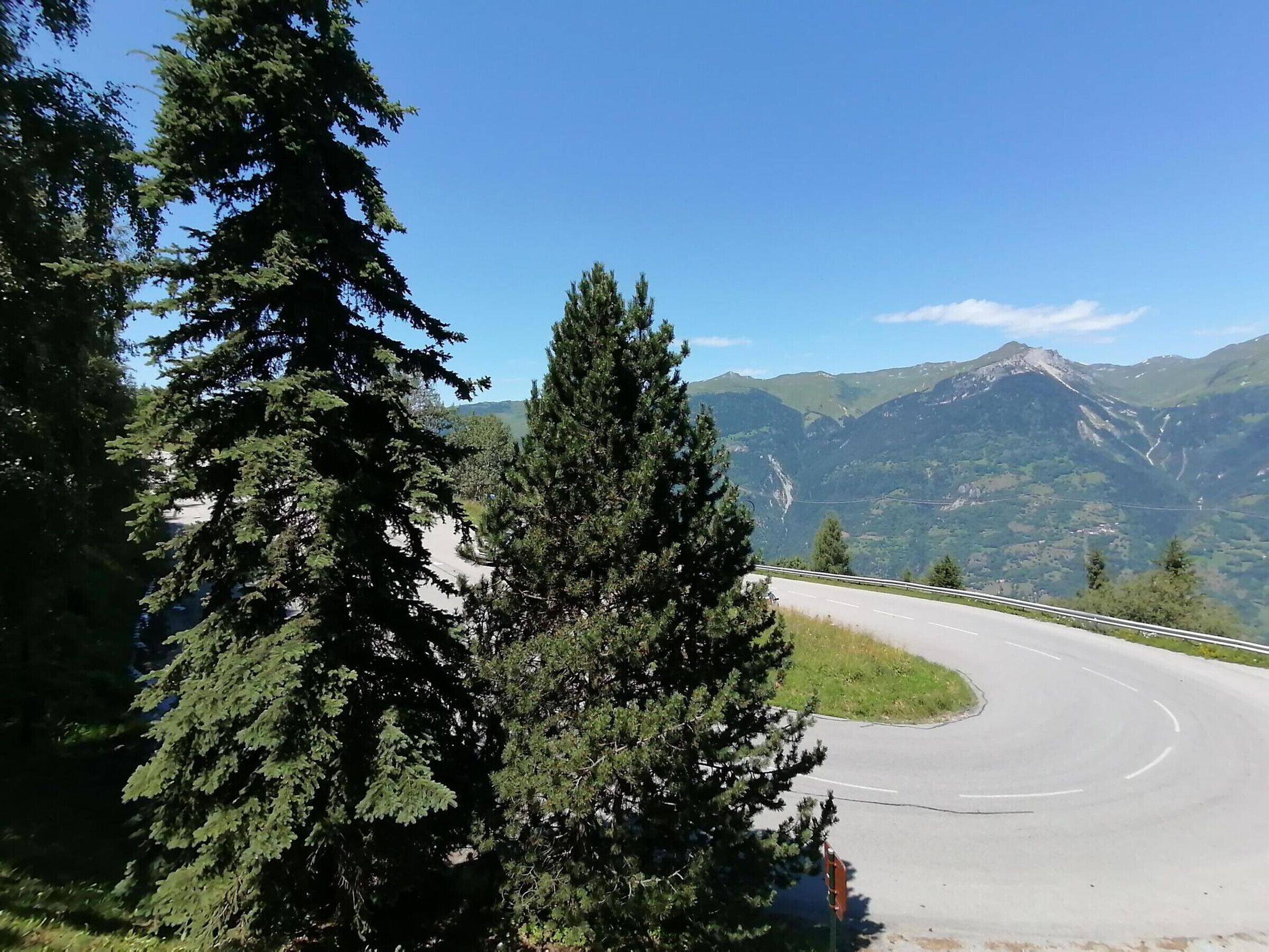 Una strada tortuosa che si snoda attraverso una zona montuosa, fiancheggiata da alberi fitti.
