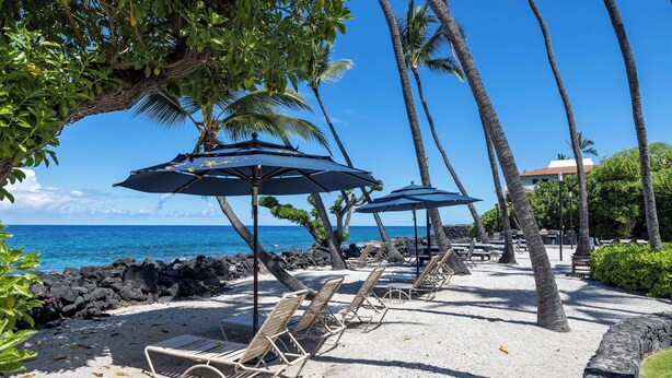 Una playa con sillas de descanso y sombrillas, una costa rocosa y palmeras.