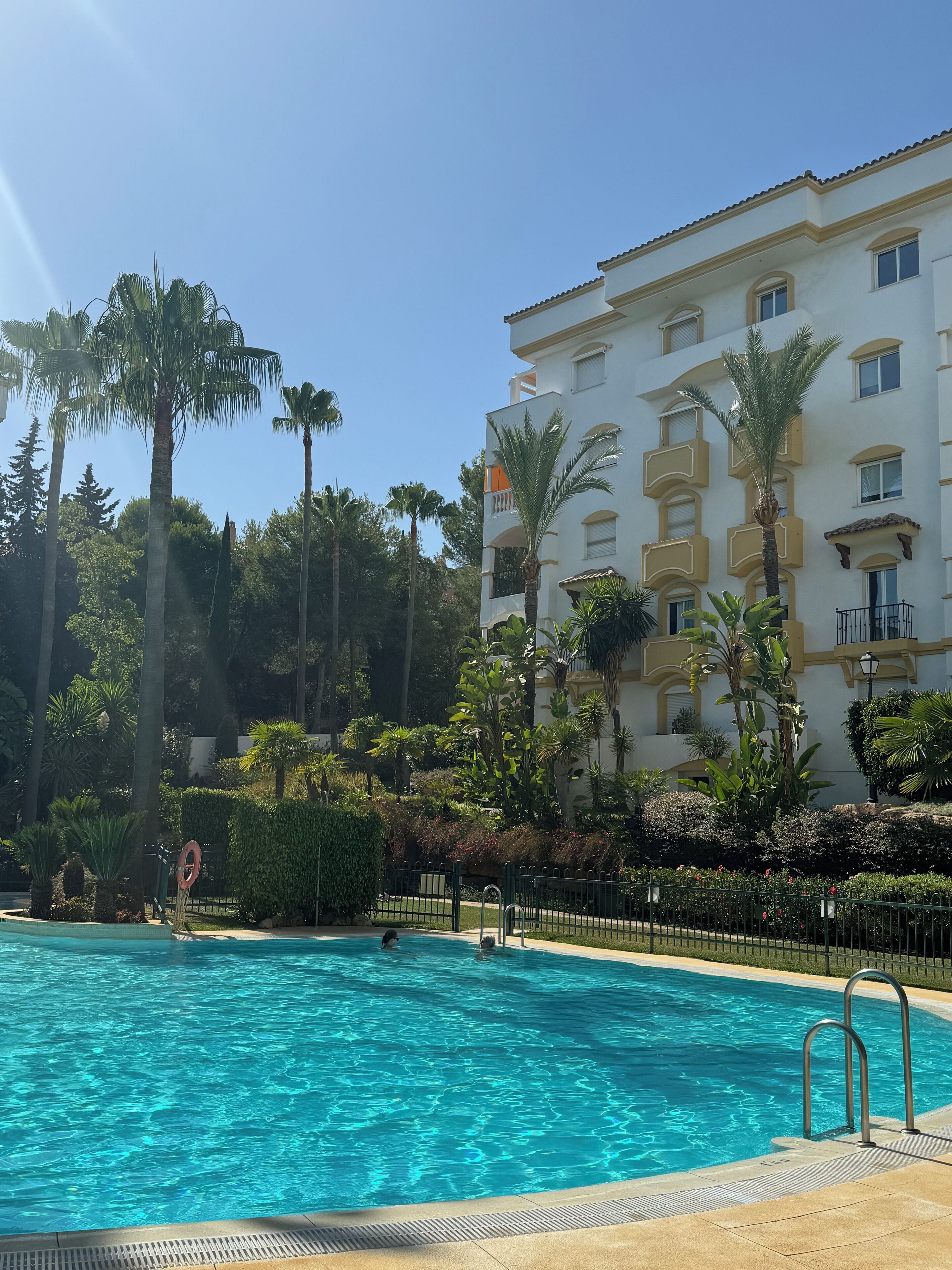 Pool