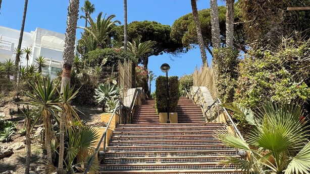 Una escalera con baldosas decorativas que conduce a la entrada de un edificio, rodeada de palmeras y vegetación.
