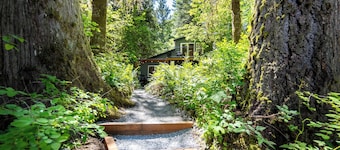 Sauk River Cabins - Hot tub - Firepit