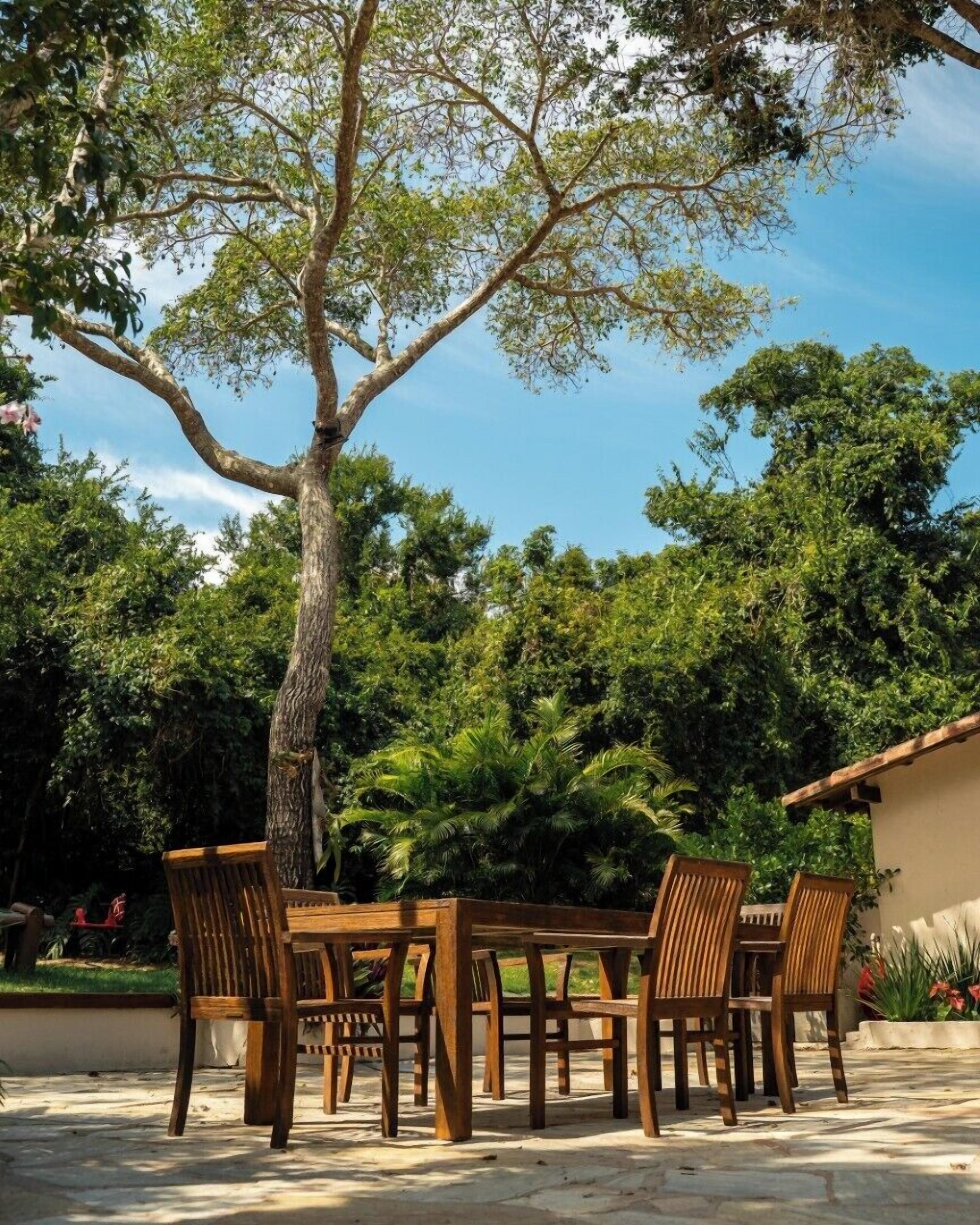 A wooden table and chairs set outdoors with a large tree in the background.