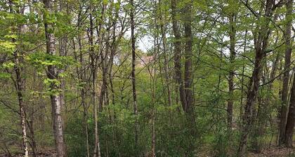 Private & Peaceful 1-bedroom apartment close to Oil Creek State Park