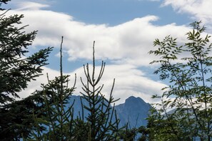 Leilighet, 1 soverom, balkong, ved fjell | Utsikt fra rommet
